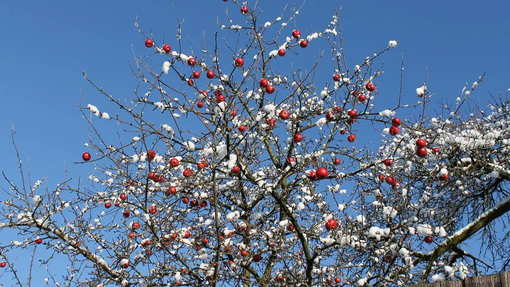 A drop fell on the apple tree meaning?