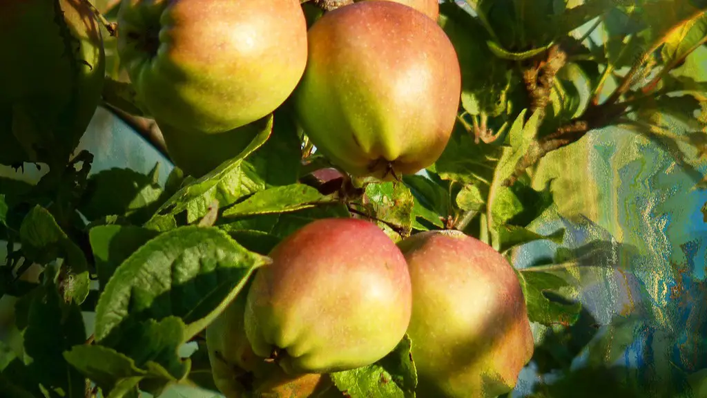 Are tree nuts the same as peanuts?