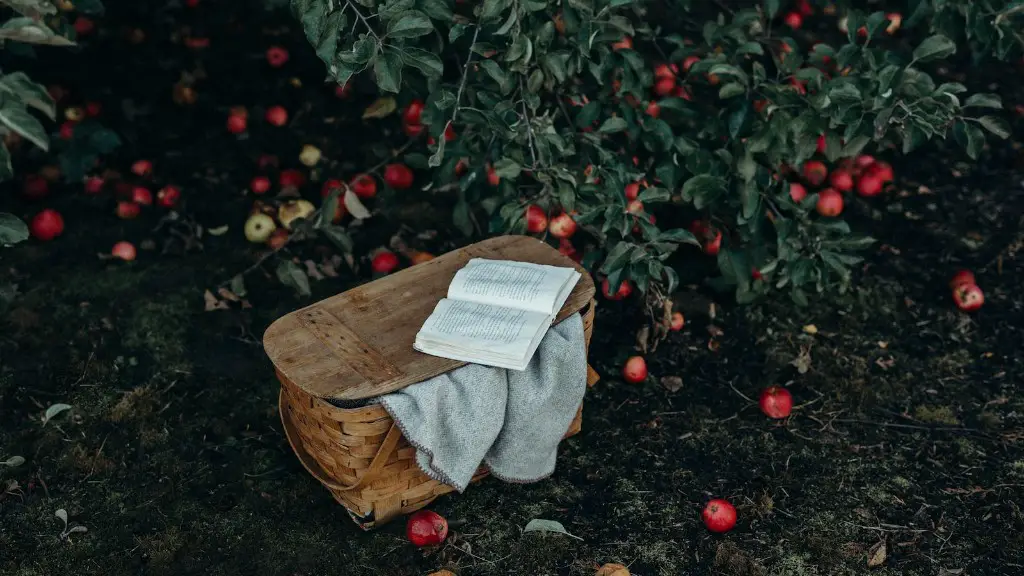 How To Stop An Apple Tree From Producing Apples