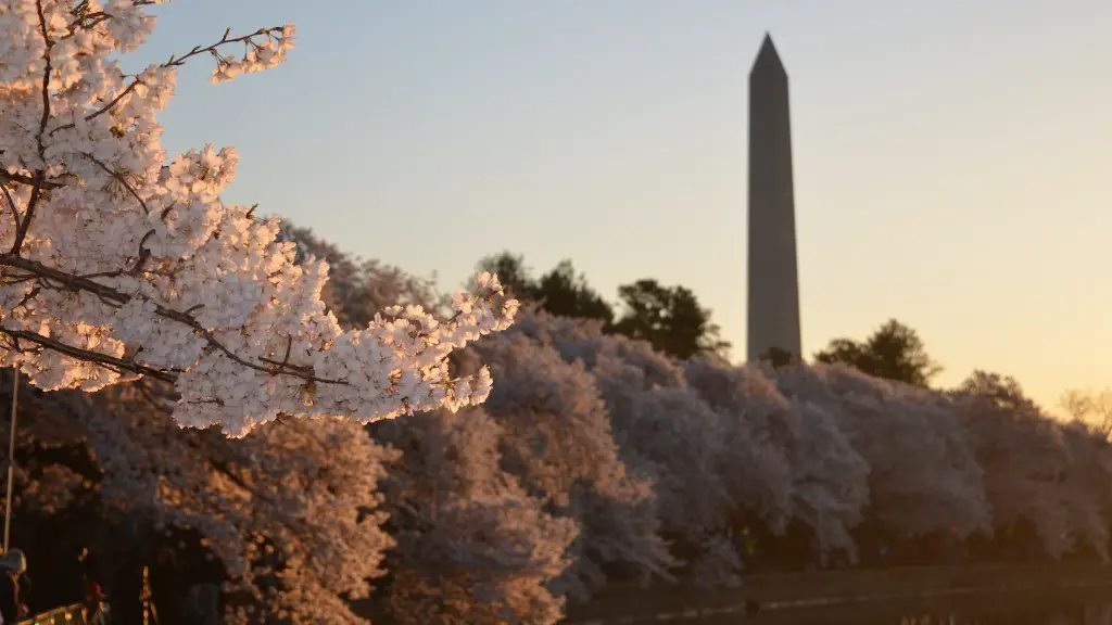 Which president cut down the cherry tree?