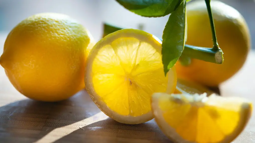 How Grow A Lemon Tree From Seed