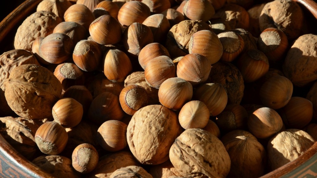 How do tree nuts grow?