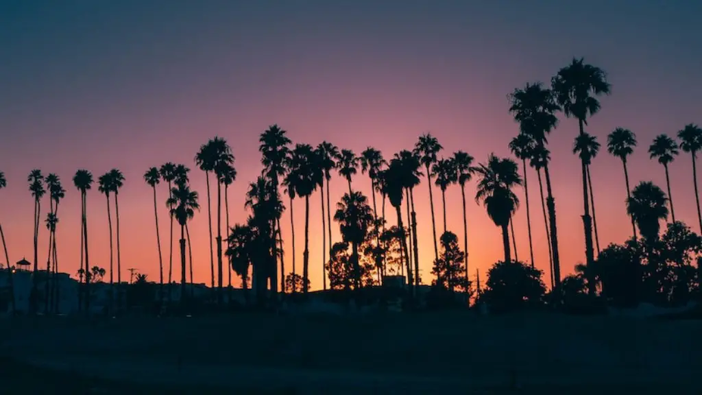 How far is joshua tree from palm springs airport?