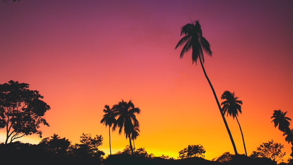 How To Trim A Date Palm Tree
