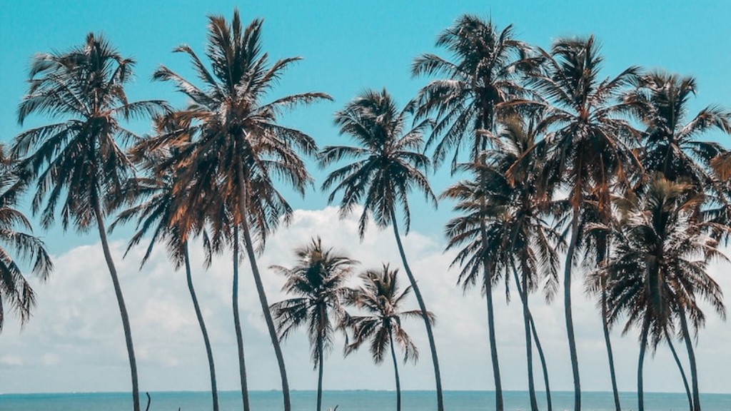 Where Is The Palm Tree Island